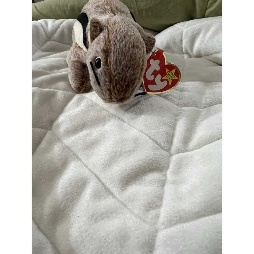 TY BEANIE BABY 1999 